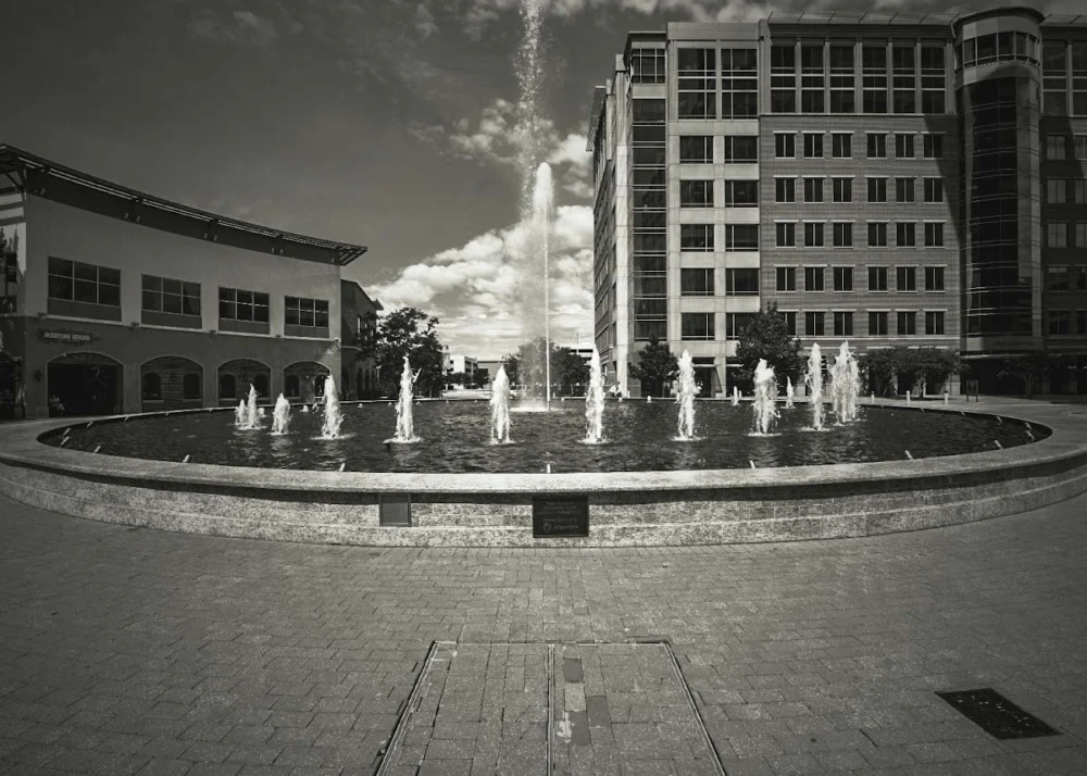 4 E's Photography - 2