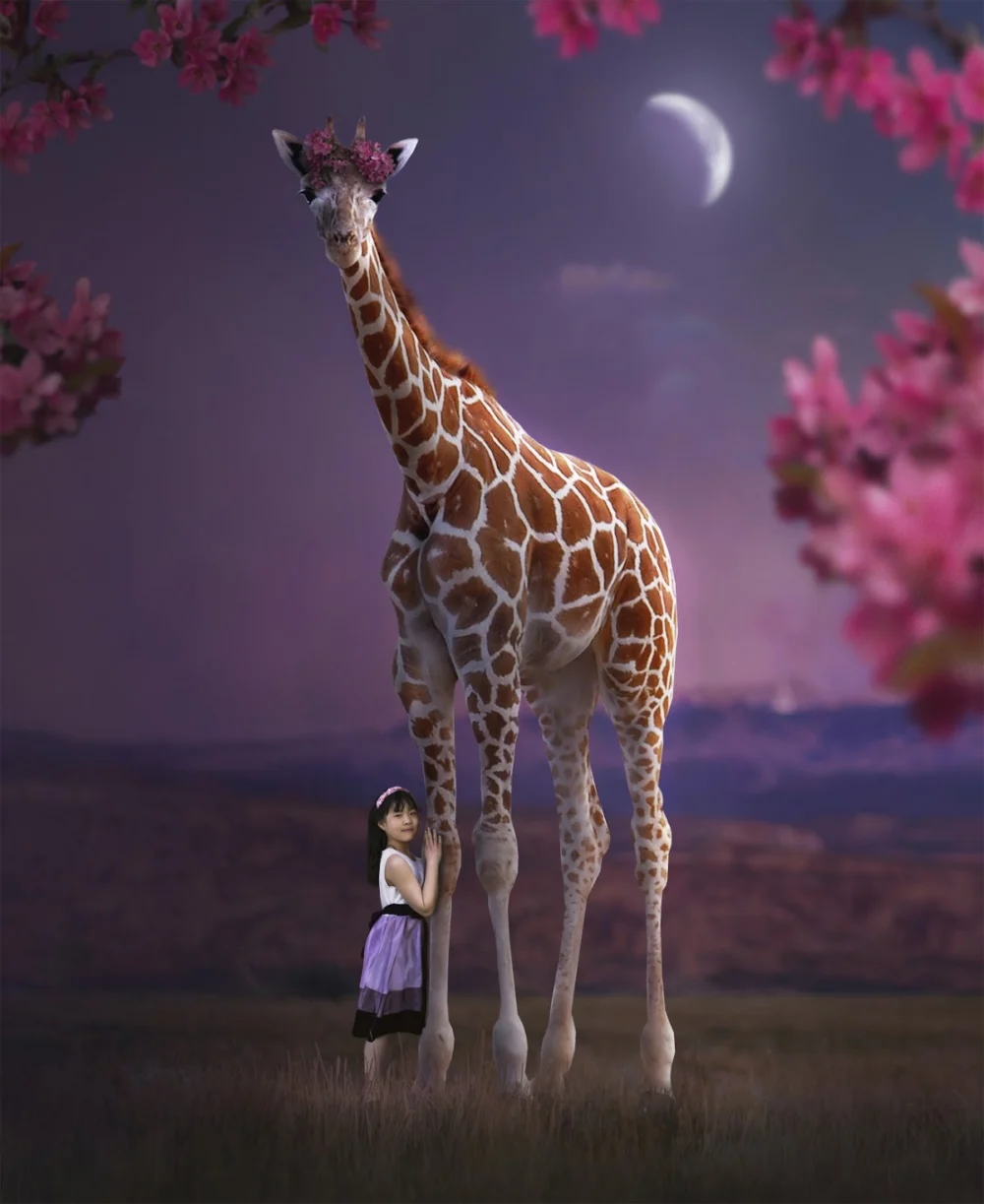 Always Sweet Photography - 2