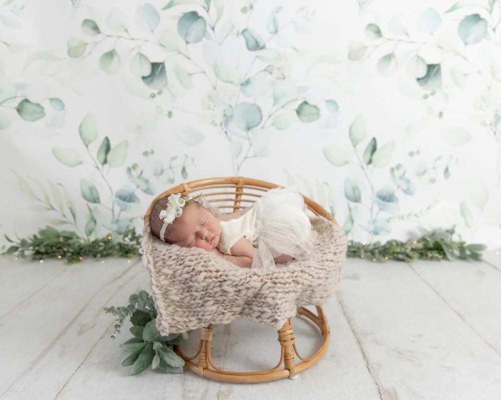 Dreamy Baby Studios