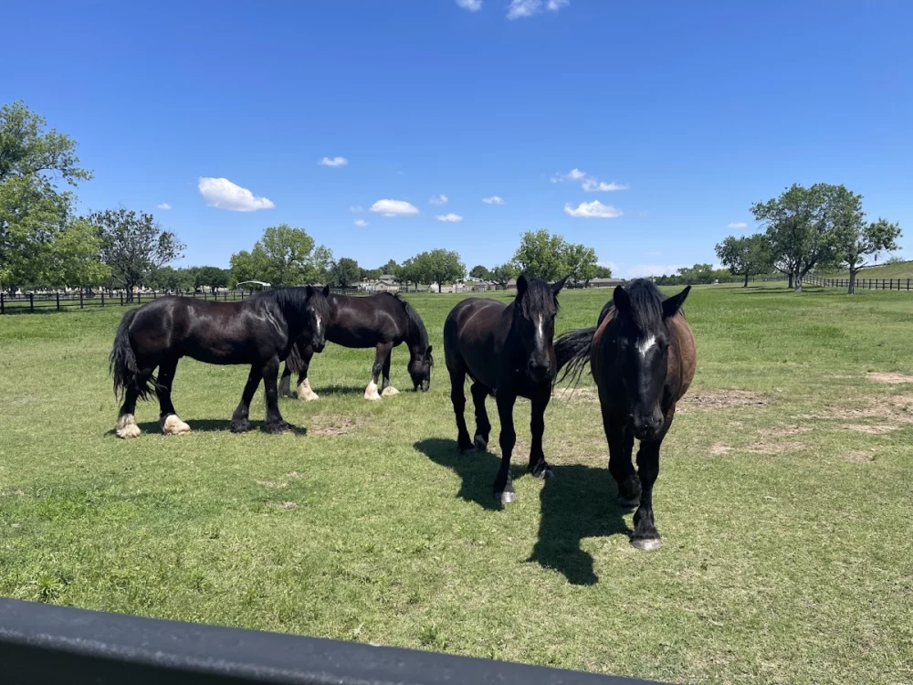 Fort Sill Photography