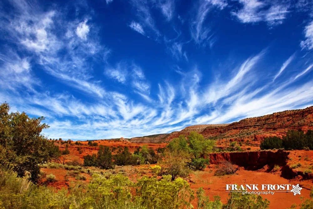 Frank Frost Photography