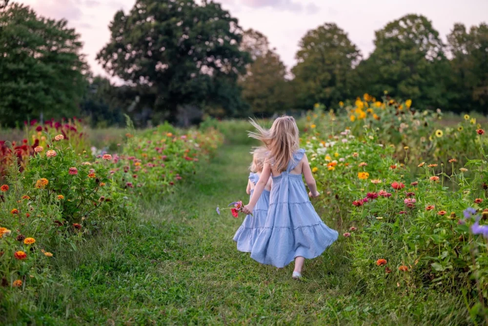 Helen Provost Photography