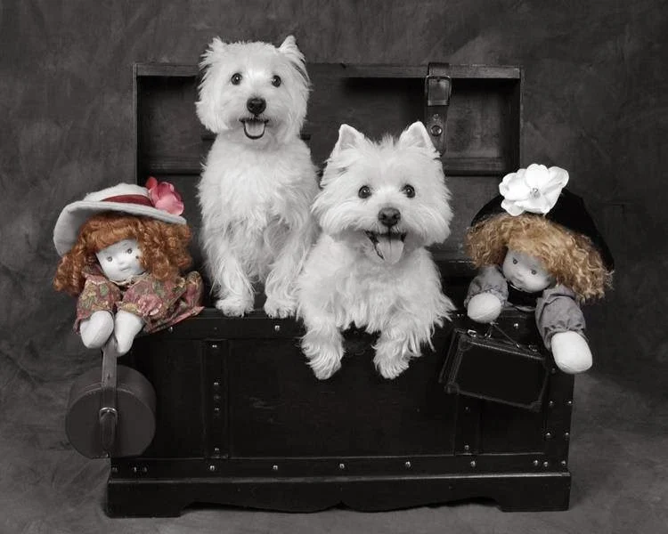 Keepsake Photography Studio - 5