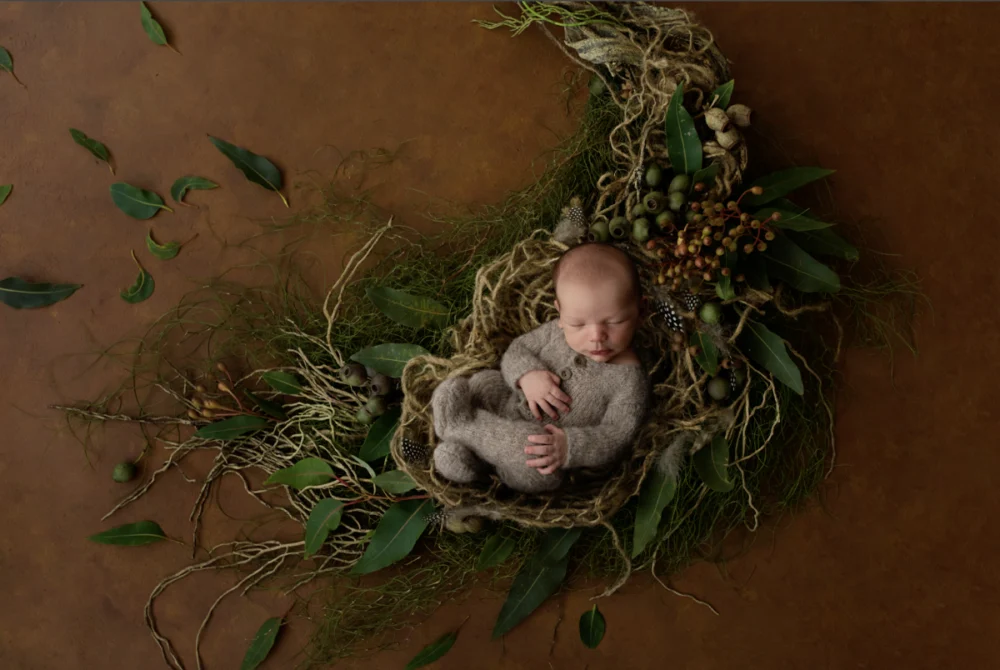 Kimberly Tetrault Photography - 4