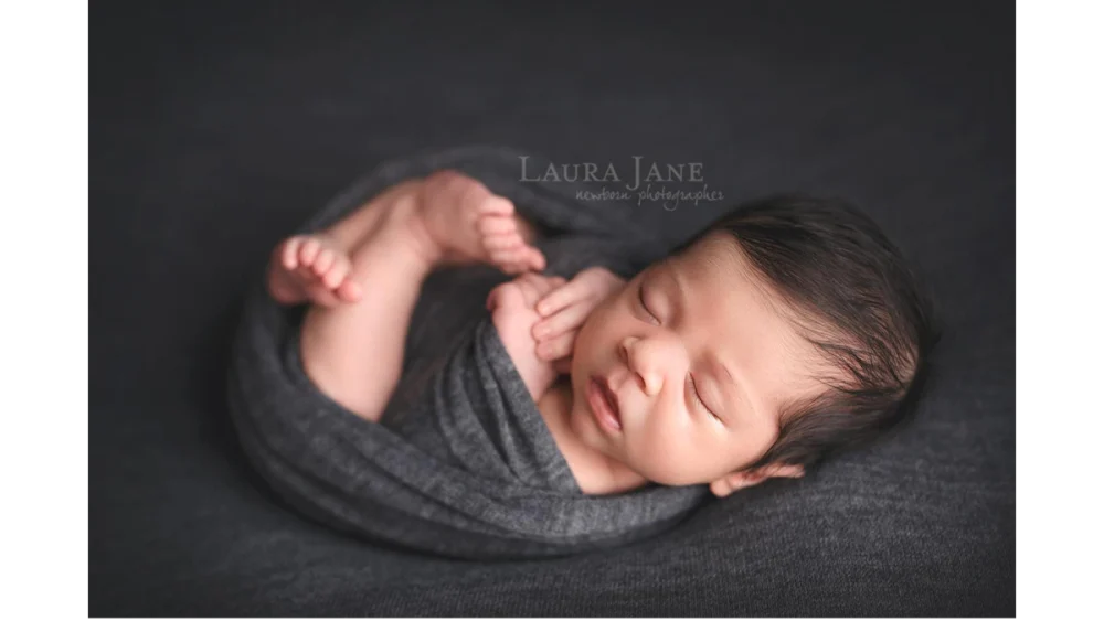 Laura Jane Studios
