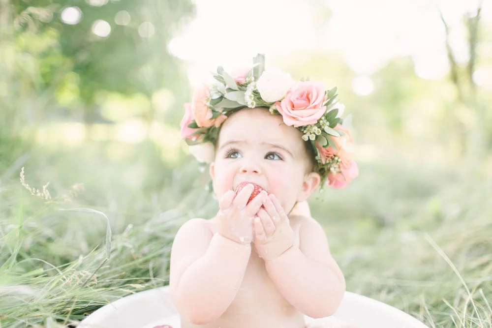 Life in Bloom Photography