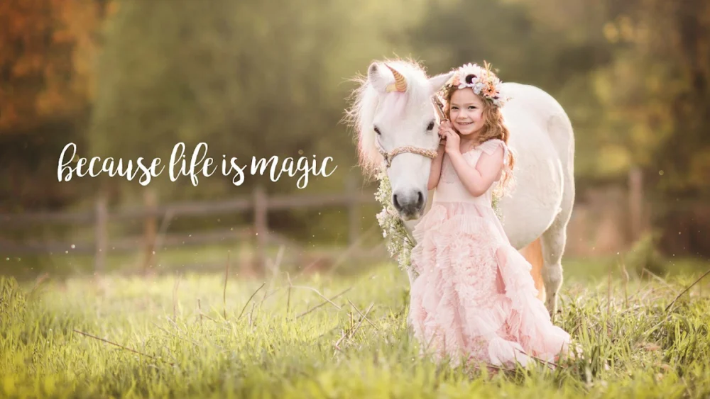 Meghan Marie Photography