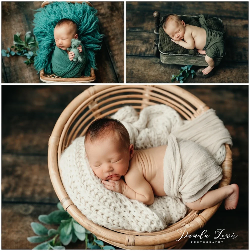 Pamela Lewis Photography - 4