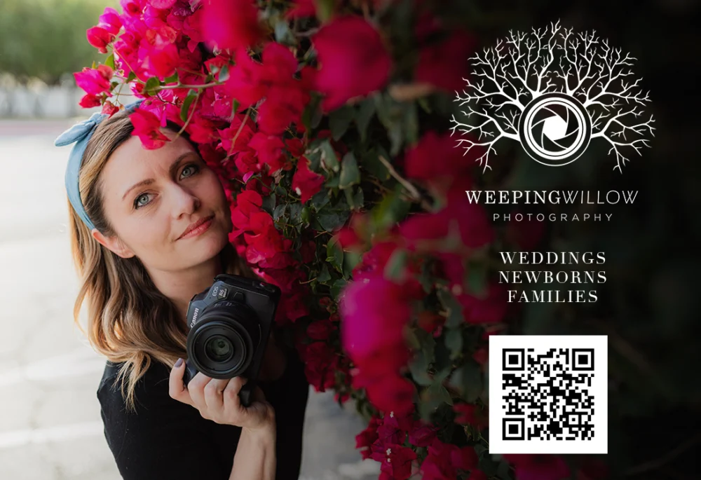 Weeping Willow Photography